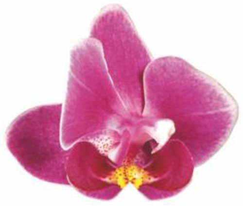 placeholder image-sq